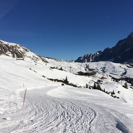 Grindelwald-Sunneblick Apartment ภายนอก รูปภาพ