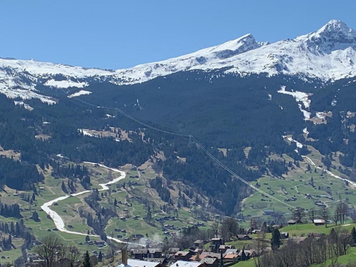 Grindelwald-Sunneblick Apartment ภายนอก รูปภาพ