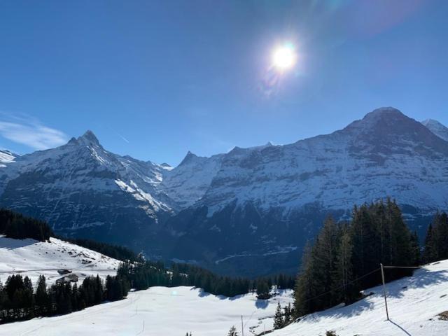 Grindelwald-Sunneblick Apartment ภายนอก รูปภาพ