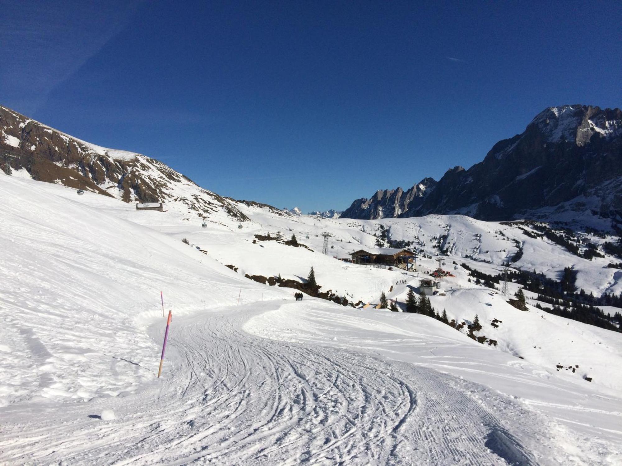 Grindelwald-Sunneblick Apartment ภายนอก รูปภาพ